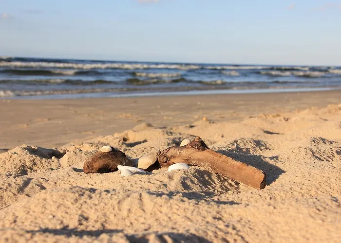 Biale Domki Деревянный коттедж